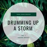 Portada para "Drumming Up A Storm (Tribal House Grooves), Vol. 1"