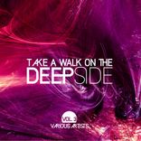 Artwork voor "Take A Walk On The Deep Side, Vol. 3"