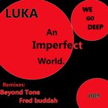 Artwork for "An Imperfect World"