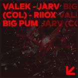 Portada para "Big Pump"