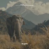 Viśva Upacāra (Slow Night View)