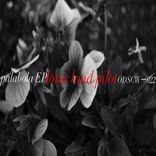 Artwork for "Parabola EP"