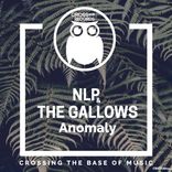 Artwork voor "Anomaly"