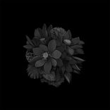 Artwork for "RMX 002"