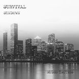 Portada para "City Nights / Sundown"