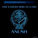 Artwork voor "Om Namah Shivaya Om"