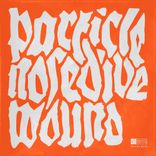 Portada para "Nosedive / Wound"