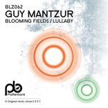 Artwork for "Blooming Fields / Lullaby"