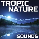 Relaxing Tropic Nature Sounds