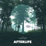Artwork für "Afterlife"