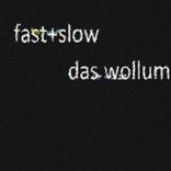 Artwork für "Fast+Slow"