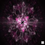 Artwork for "AMAYLIA004"