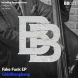 Artwork for "Fake Funk"