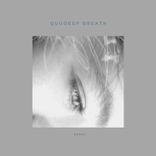 Artwork voor "Breath"