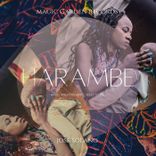 Artwork for "Harambe"