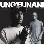 Artwork voor "Ung'Funani"