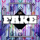 Artwork for "Fake"