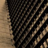 Portada para "Paradigm"