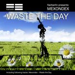 Artwork voor "Waste the Day"