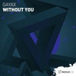 Artwork voor "Without You (Extended Mix)"