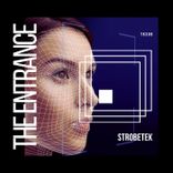 Artwork for "The Entrance"