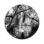 Artwork voor "Black Marsh"