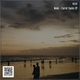 Artwork for "Carrot Sacks EP"