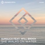 Artwork for "She Walks on Water"