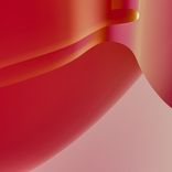 Artwork for "Orgazm donor"