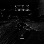 Artwork for "Subterfuge"