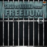 Artwork for "Freedom"