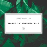 Maybe in Another Life