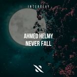 Artwork for "Never Fall"