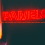 Artwork for "Pamela"