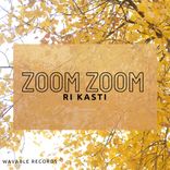 Artwork for "Zoom Zoom"