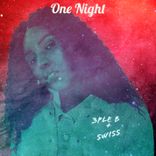 Portada para "One Night"