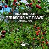 Birdsong At Dawn
