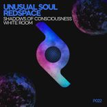 Artwork for "Shadows of Consciousness / White Room"