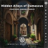 Artwork for "Hidden Alleys of Damascus"