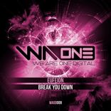 Artwork voor "Break You Down (Extended Mix)"