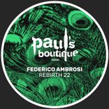 Artwork for "Rebirth 22"