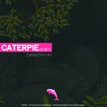 Artwork voor "Caterpier"