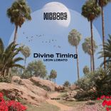 Artwork voor "Divine Timing"
