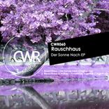 Artwork for "Der Sonne Nach EP"