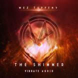 Artwork for "The Shimmer"