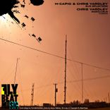 Artwork voor "Sun Splinters"