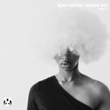 Artwork for "Electronic Hours Viii"