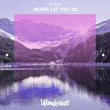 Artwork for "Never Let You Go"
