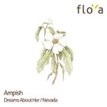 Artwork for "Dreams About Her/Nevada"