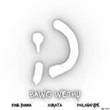Artwork for "Bawo Wethu"